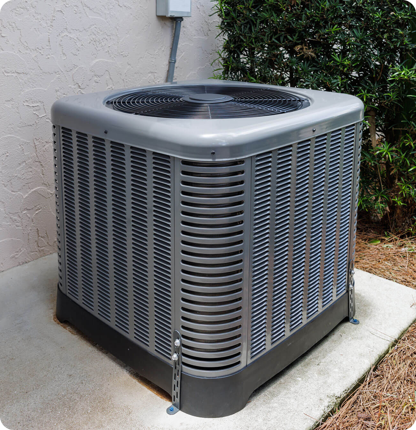 AC tune-up & coolant check