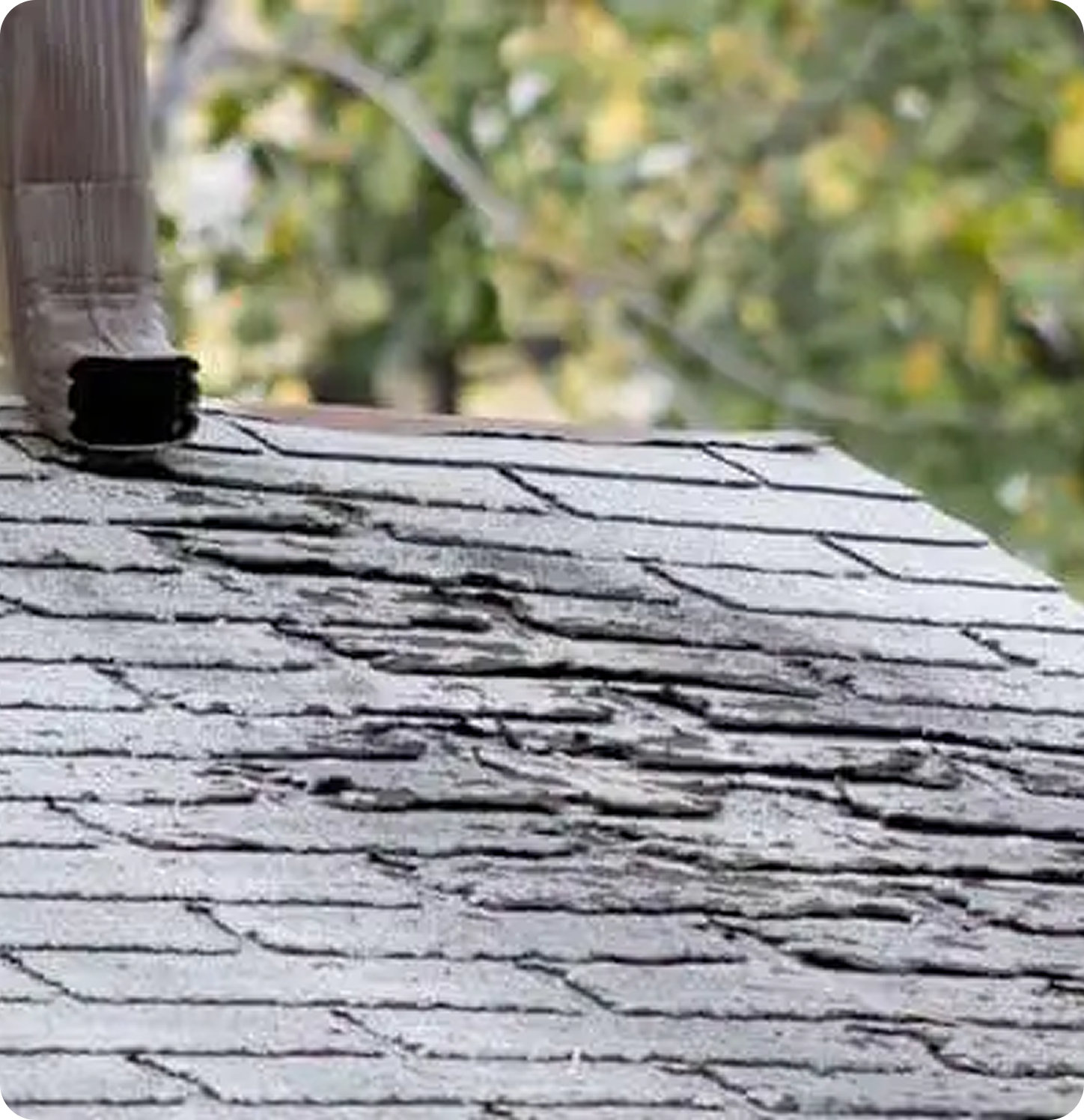 Patch damaged shingles